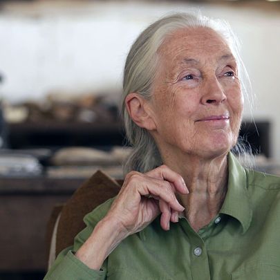 Dr. Jane Goodall im Gombe National Park