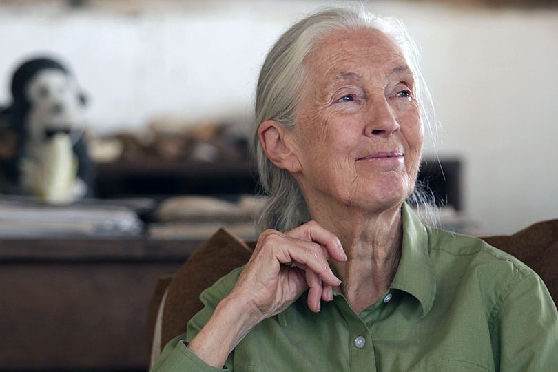 Dr. Jane Goodall im Gombe National Park