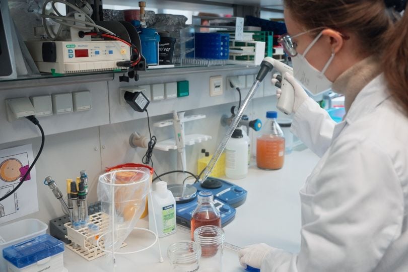 CBmed Wissenschaftlerin bei der Probenvorbereitung für die Erforschung des menschlichen Darm-Mikrobioms.
