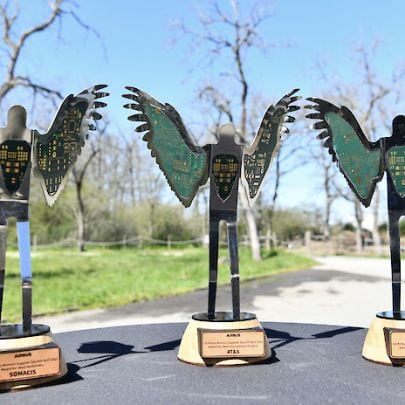 3 Trophäen in Vogel-Form